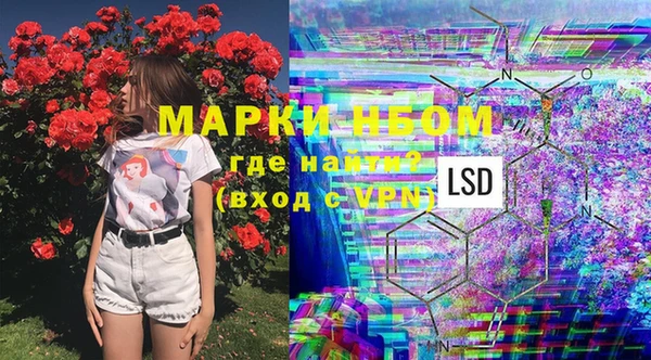 спиды Инта