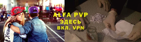 спиды Инта