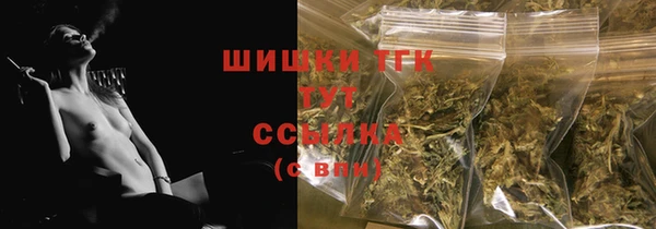стаф Инсар