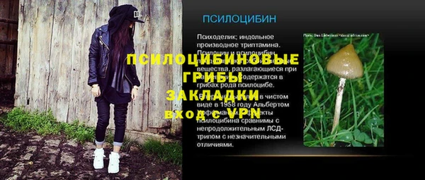 спиды Инта