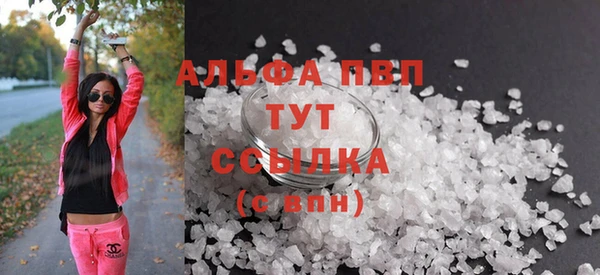стаф Инсар