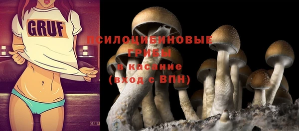 спиды Инта